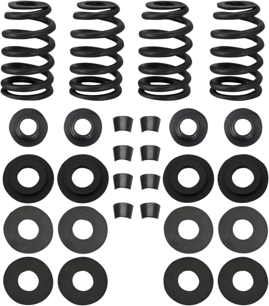 SPRINGS .585 99-04TC