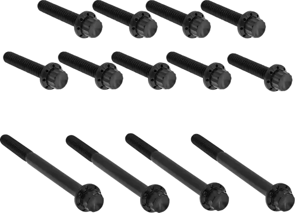 Arlen Ness Primary Bolt Kit