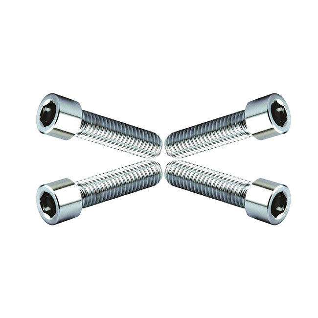 Wild1, chrome plated allen screws