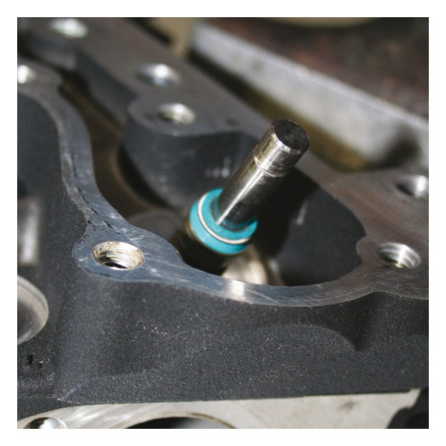 Feuling Viton valve seal kit