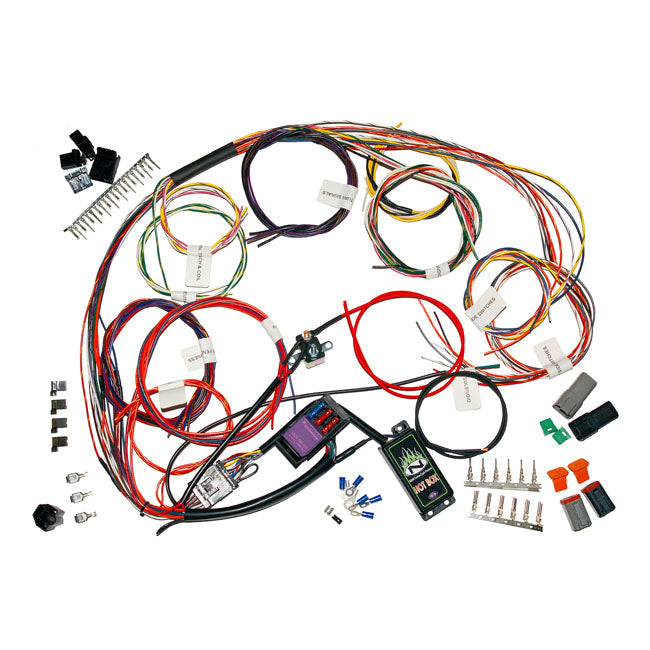 NAMZ, complete custom bike main wiring harness