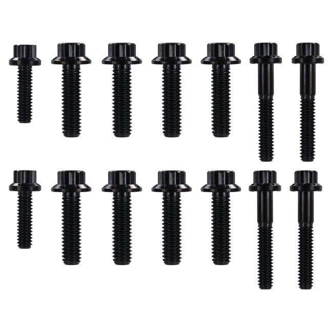 Arlen Ness, transm side cover trap door 12-point bolt kit