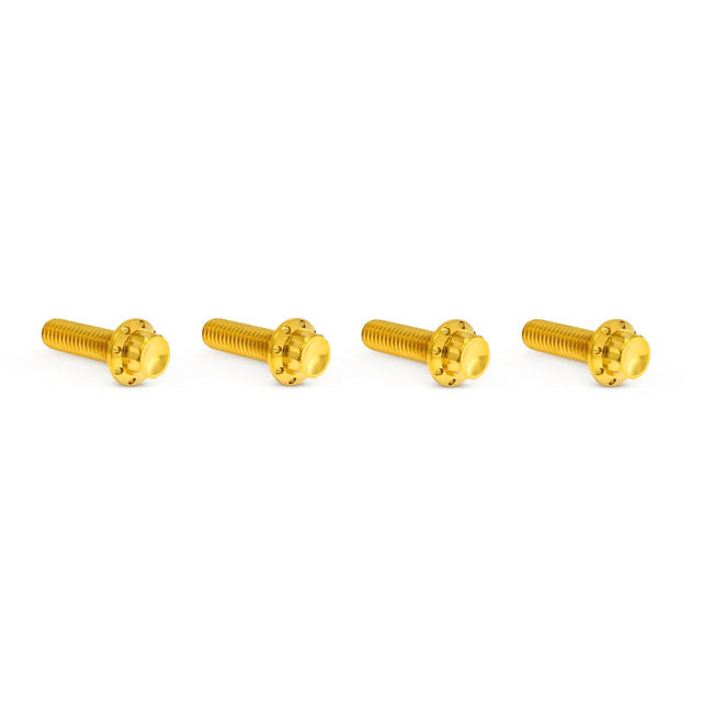 Arlen Ness, titanium 12-point transm top cover bolts