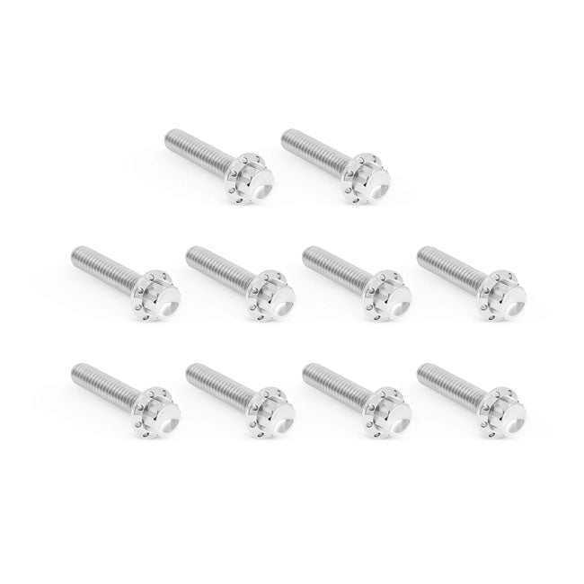 Arlen Ness, titanium 12-point cam/point cover bolt kit Pol