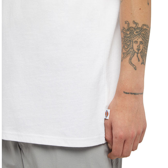 Dickies Clancy Heavyweight t-shirt