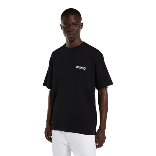 Dickies Dry Ridge t-shirt