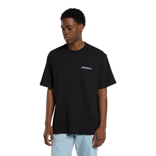 Dickies Thornville t-shirt