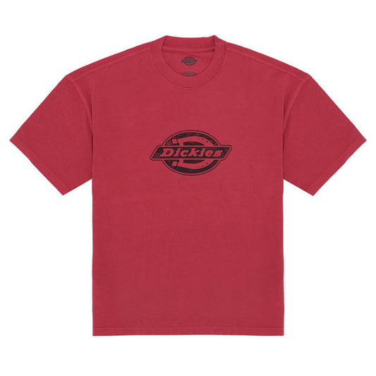 Dickies Plainville t-shirt