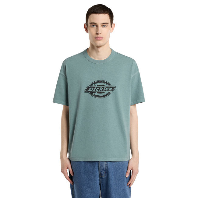 Dickies Plainville t-shirt