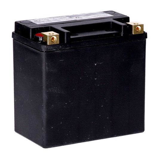 MCS, Standard Series AGM sealed battery 12v, 14ah 240cca