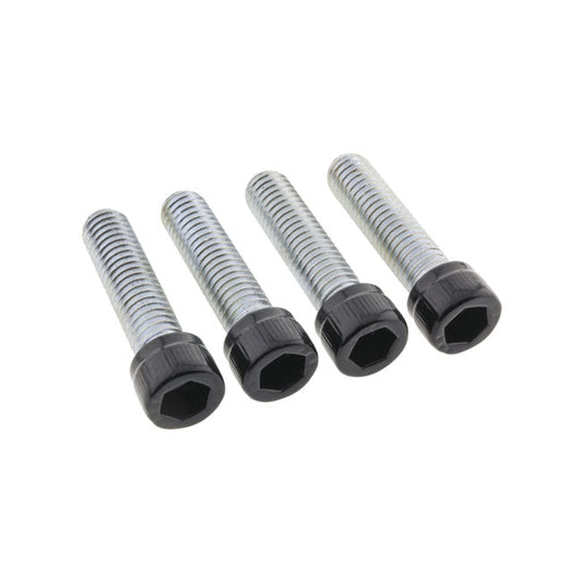Screws4Bikes, bolt kit, foot pegs rider