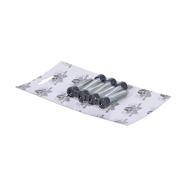 Screws4Bikes, bolt kit, 6x front fork brackets SH