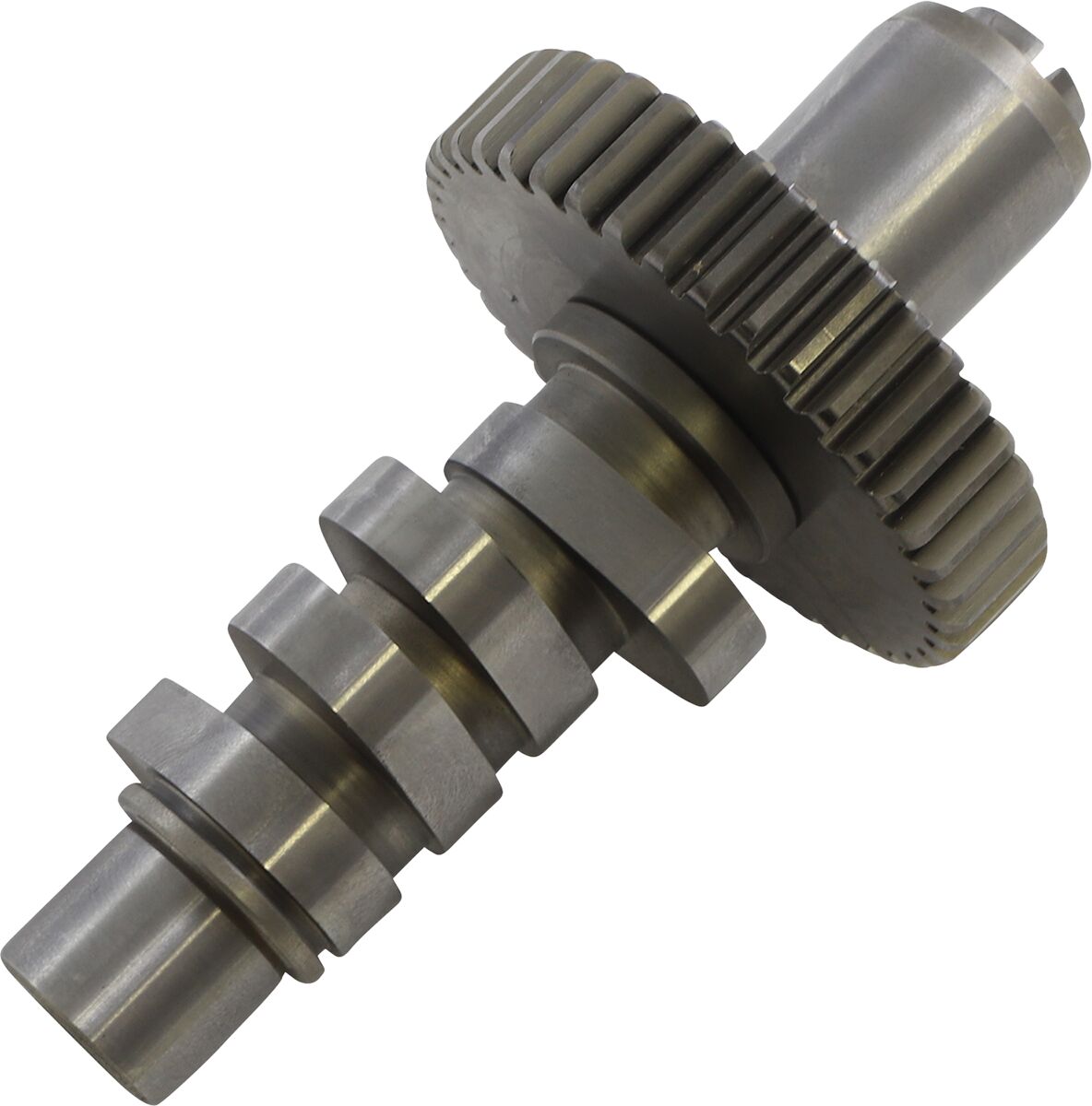 S&S 561 CAM 84-99 EVO