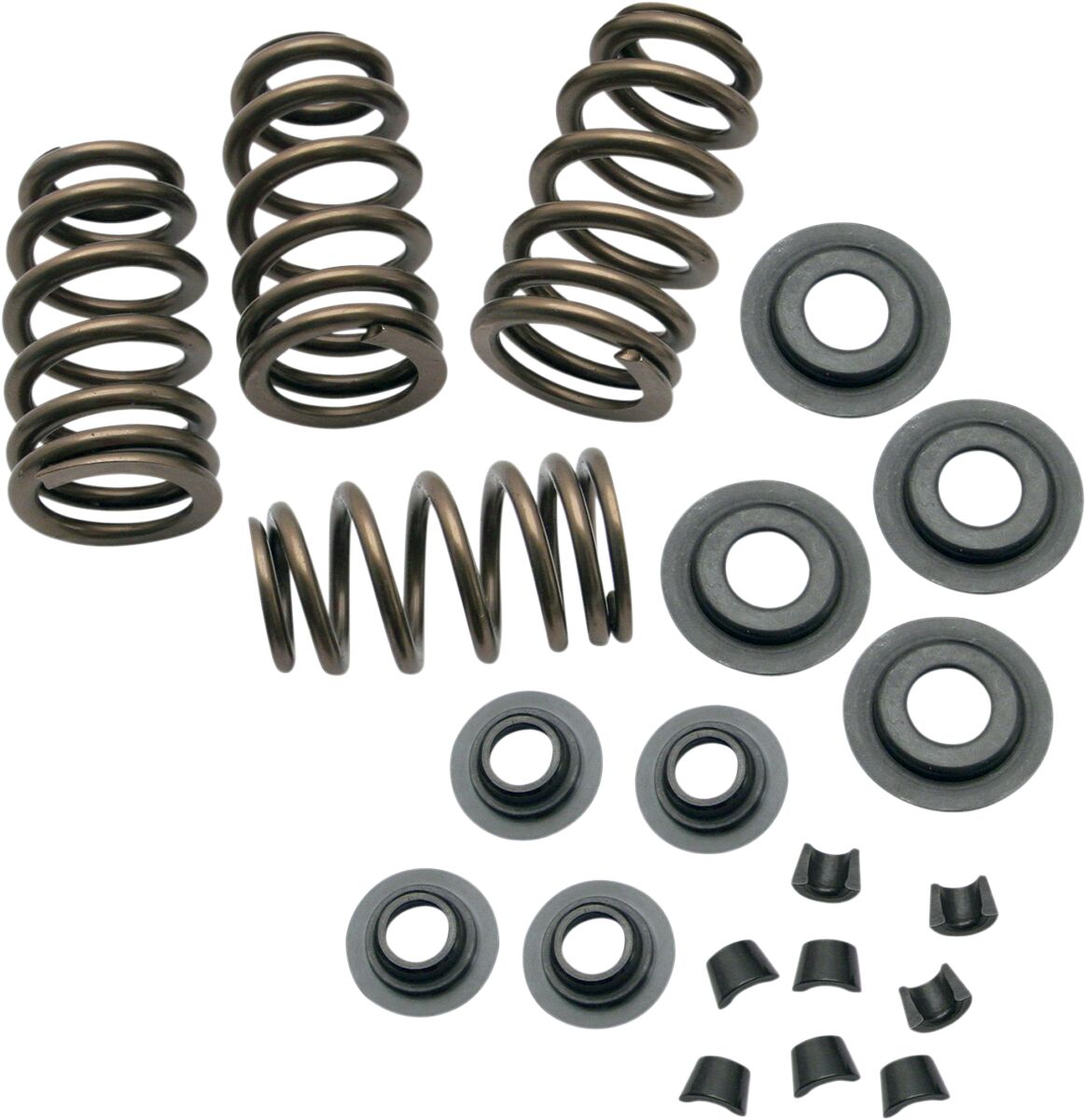 SPRING KIT .650 84-04