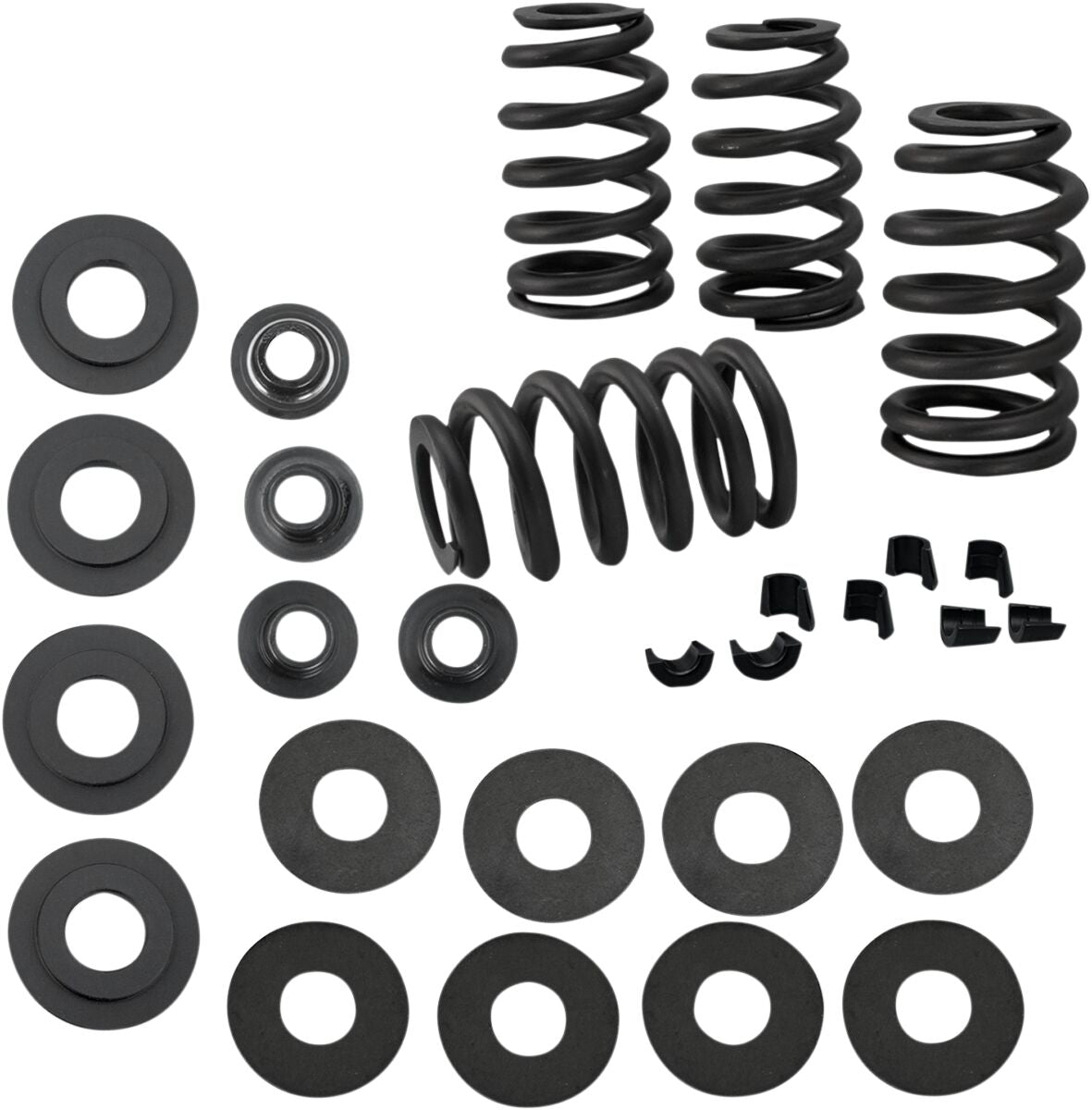 SPRING KIT VALVE .585