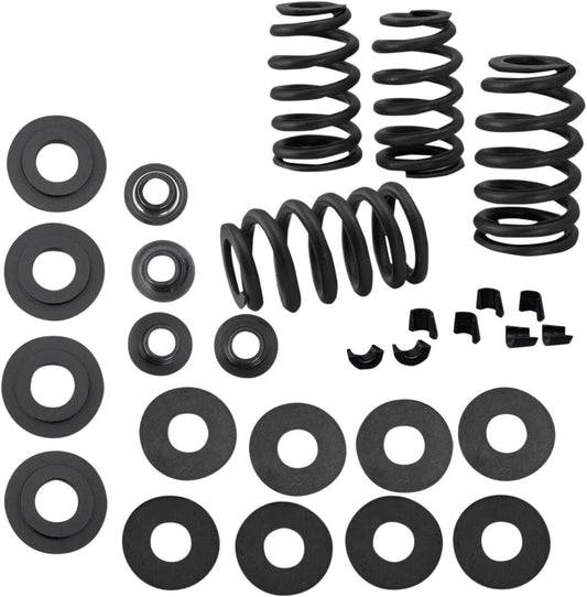 SPRING KIT VALVE .585