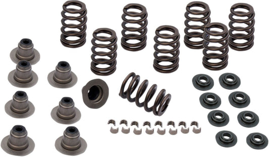 SPRING KIT.605 M8 17-19