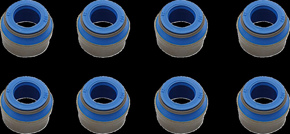 SEAL VLV GD 84-04 8PK