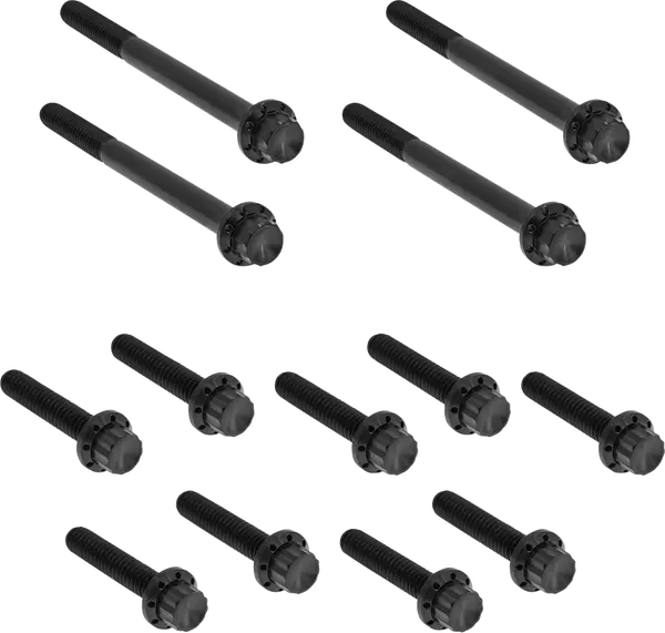 Arlen Ness Primary Bolt Kit