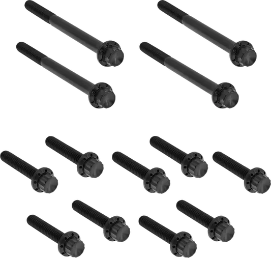 Arlen Ness Primary Bolt Kit