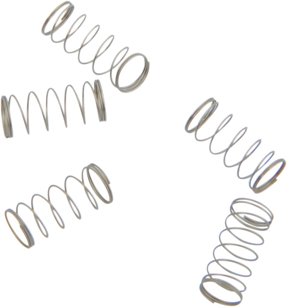 CHECK BALL SPRING S&S