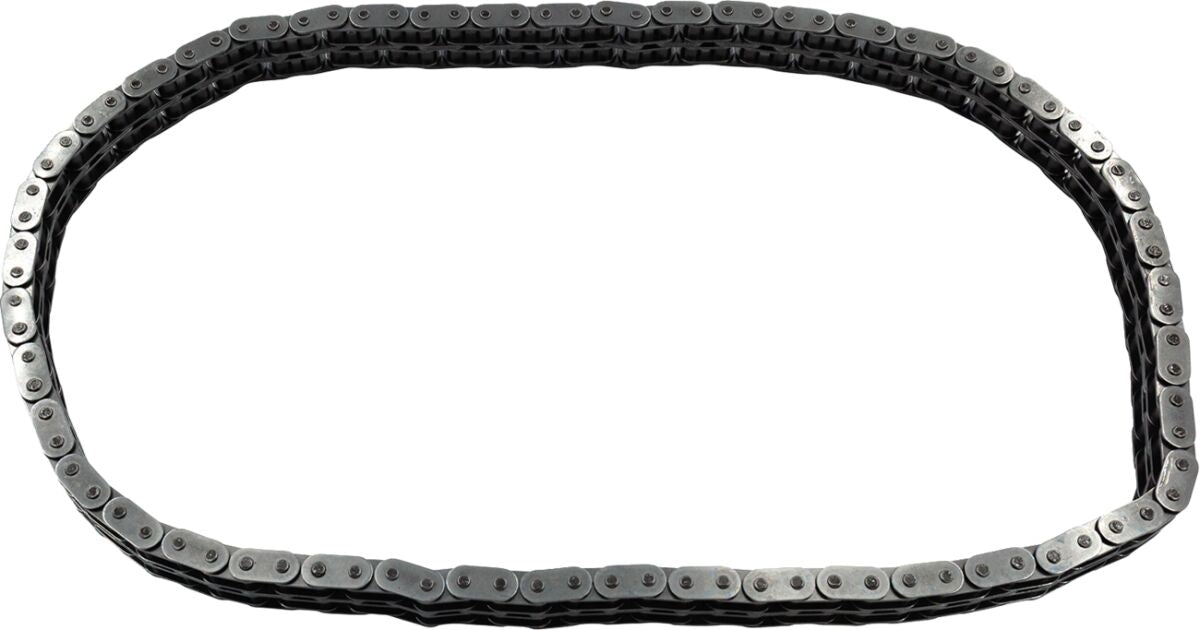 CHAIN PRIMARY - 84-06 SOFTAIL