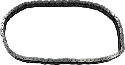 CHAIN PRIMARY - 06-17 DYNA & 0