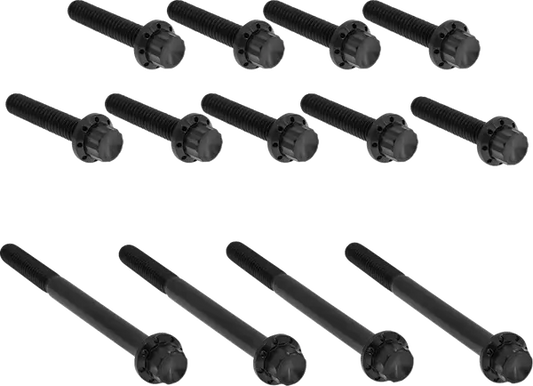 Arlen Ness Primary Bolt Kit