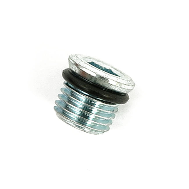 Primary oil drain plug magnetic