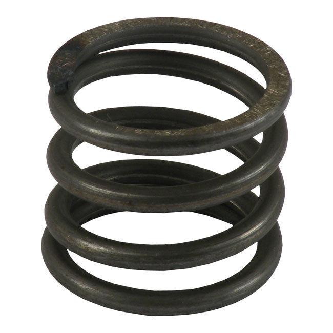 Rebound spring, 41mm fork tubes