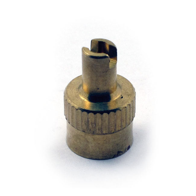 Valve stem cap
