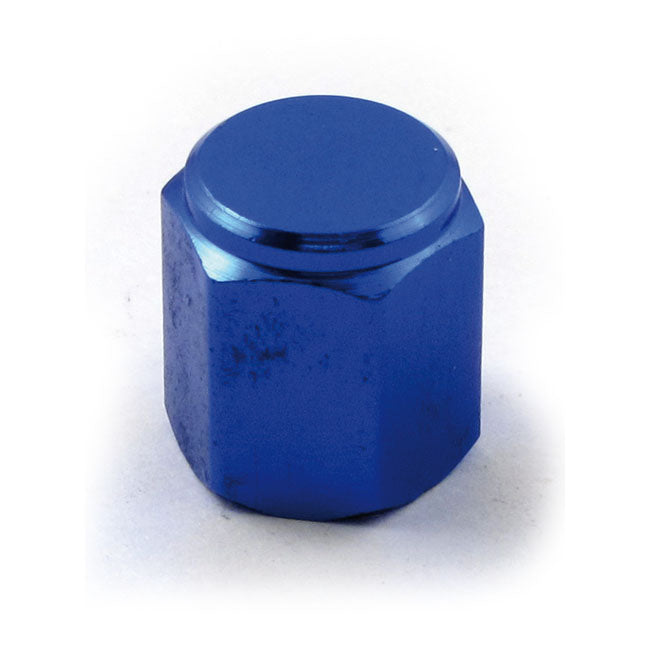 Valve stem cap