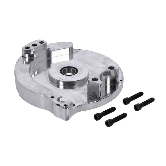 Bdl repl motor plate