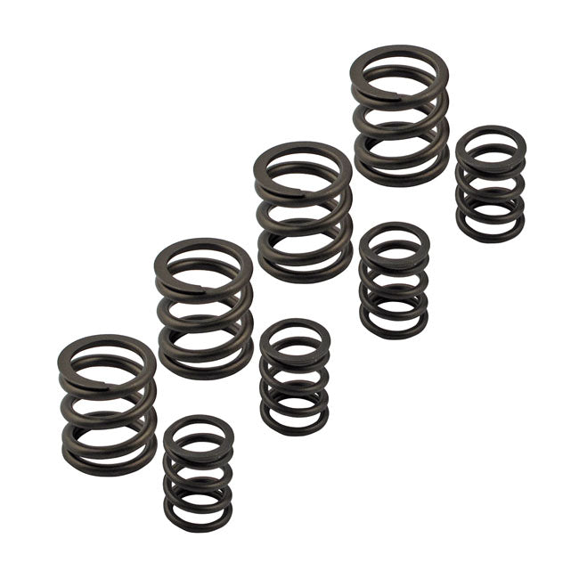 Kpmi, Sportster valve spring set
