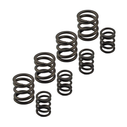 Kpmi, Sportster valve spring set