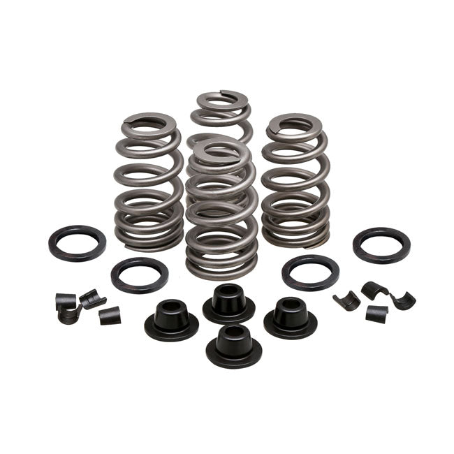 KPMI, Beehive valve spring kit Steel 660" lift