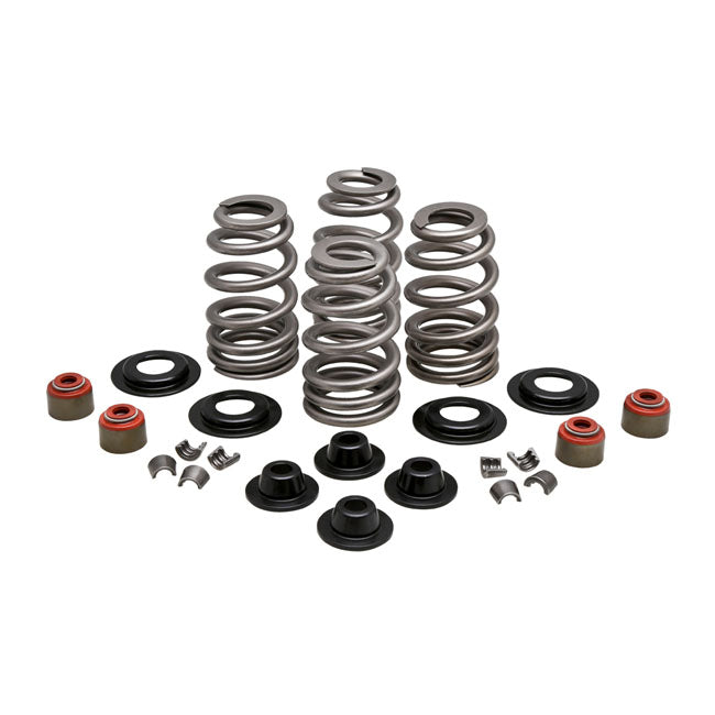 KPMI, Beehive valve spring kit Steel 610" lift