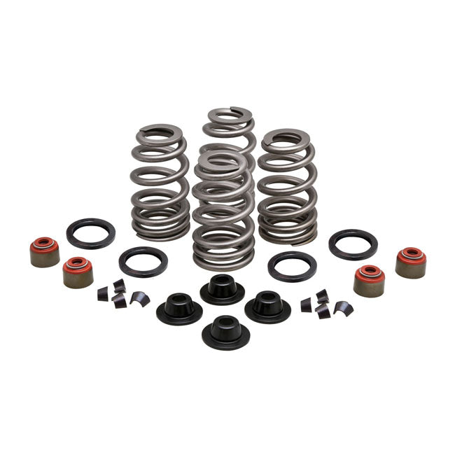 KPMI, Beehive valve spring kit Steel 660" lift