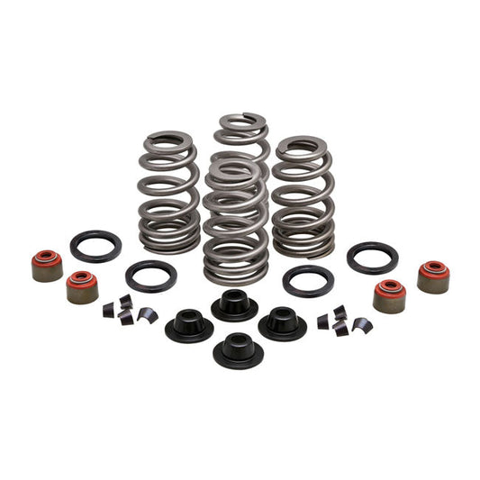 KPMI, Beehive valve spring kit Steel 660" lift
