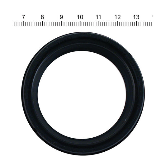 James, dust seal fork slider