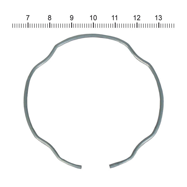 James, retaining ring for fork seal