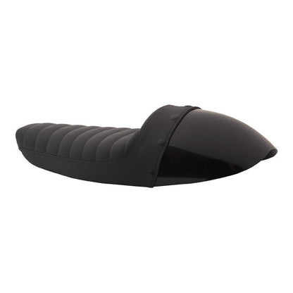 Burly, Sportster cafe tail section. Paintable cowl
