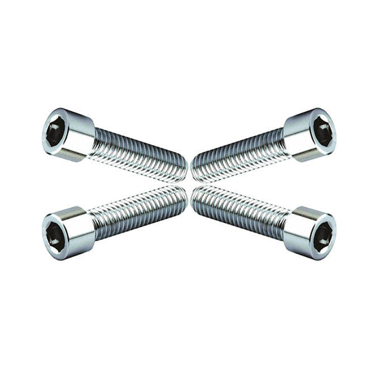 Wild1, chrome plated allen screws