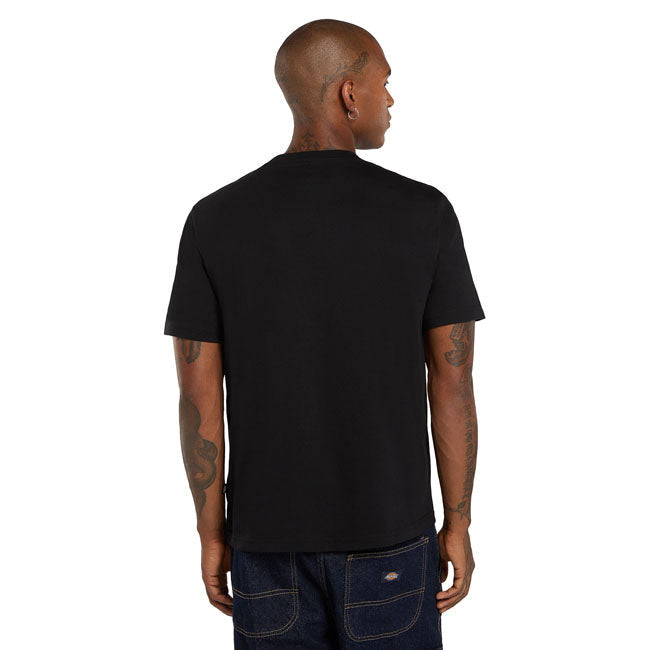 Dickies Mapleton t-shirt