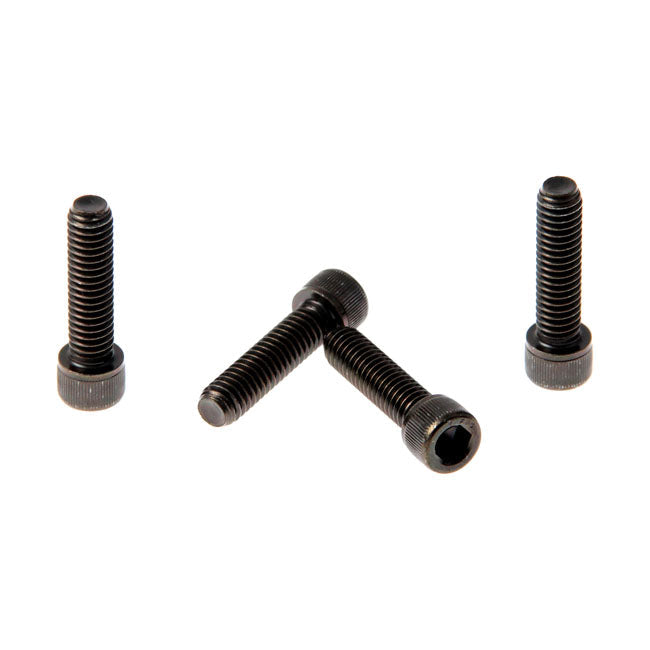 Cult-Werk, front fender bolt kit