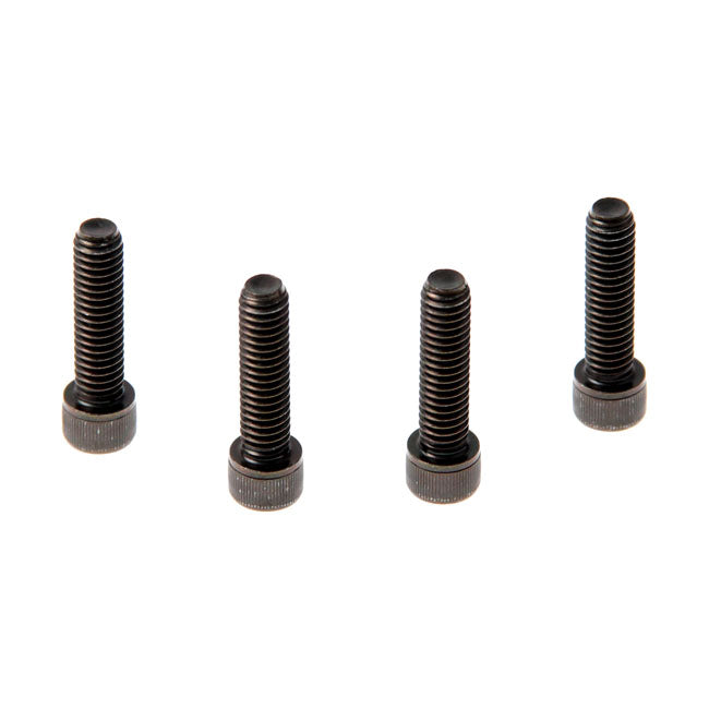 Cult-Werk, front fender bolt kit