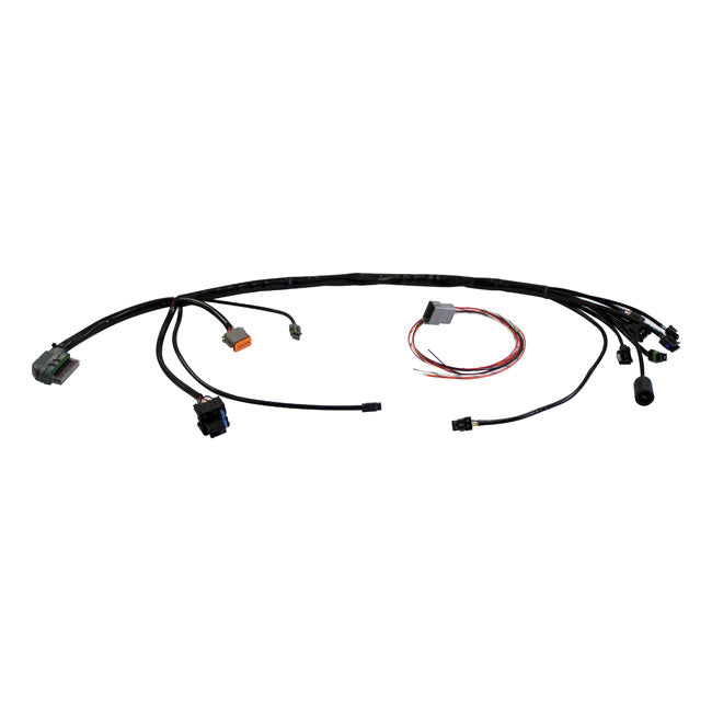 S&S, universal EFI wiring harness