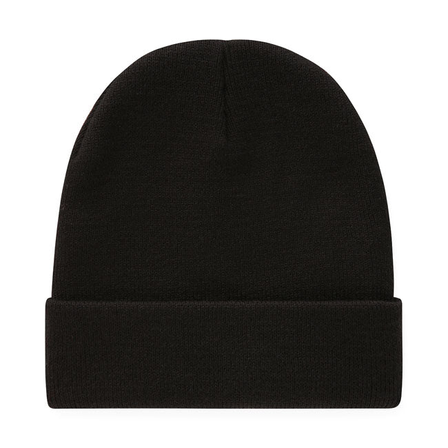 Dickies Gibsland beanie