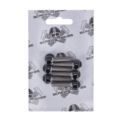 Screws4bikes, bolt kit, transmission top cover