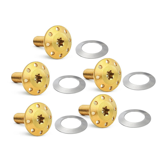 Arlen Ness, Titanium brake rotor bolt kit. Gold